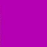 Playful Pansy Rezin Arte Transparent Tint "Dry" Epoxy Paint 60ml Jar