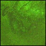 Sea Grass Rezin Arte Luster Pigments "Dry" Epoxy Paint 60ml Jar, List $21.98 Everyday $16.99