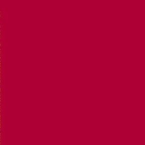 Red Raspberry Rezin Arte Transparent Tint "Dry" Epoxy Paint 60ml Jar