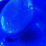 ...Wild Blueberry, "Wild Flowers" Set 30ml Jar, Primary Elements Arte-Pigment