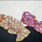 .PolyFiber NEW Texture paper 20 sheets | 9 3/4 x 13 3/4 | Introductory Price $19.99