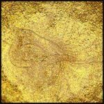 Bronze Fine Pure 60ML Jar | Specialty Minerals "metallic"
