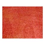 Bright Coral red 60ML Fine Flake | Specialty Minerals