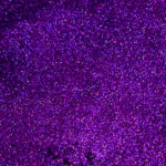 Orchid Iridescent 60ML Fine Flake | Specialty Minerals