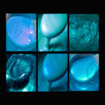 Azure Seas | Aqua & Teals Primary Elements 30ml Jars, 6pc. set | Buy 6 pay for 5 PLUS bonus Color Aqua Myst